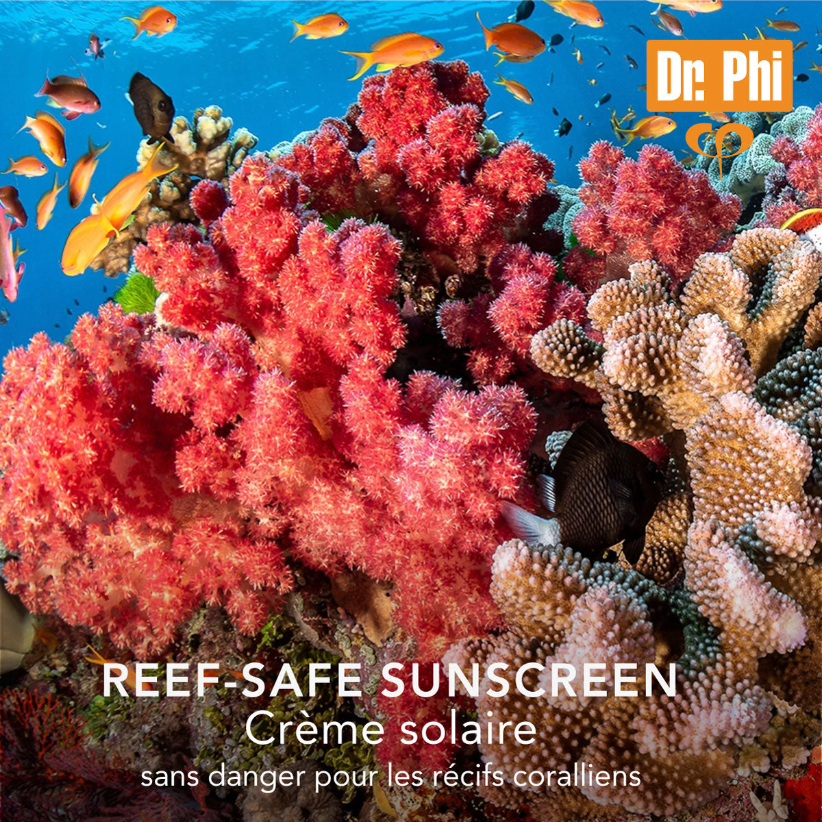 DR. PHI Reef safe Sunscreen 40ml